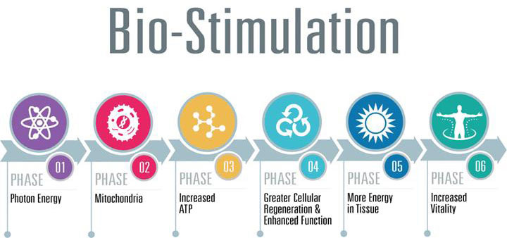 Bio-stimulation therapy phases at Woodlands Health & Performance in St Cloud, MN.